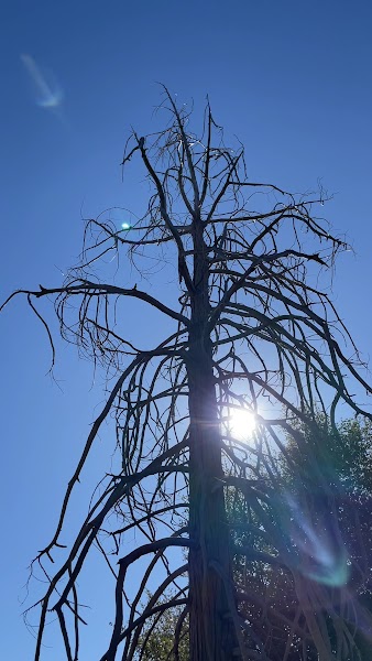 Observatory Trail Head