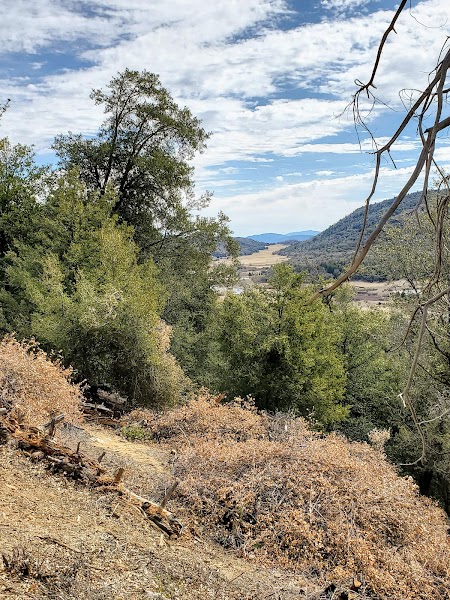 Observatory Trail Head