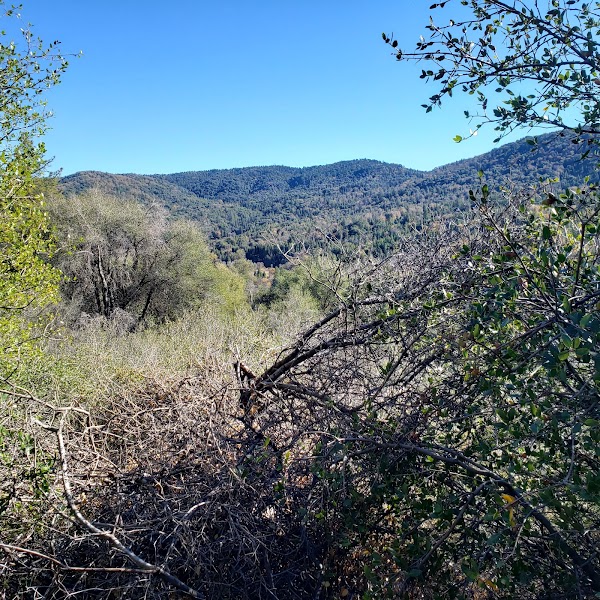 Observatory Trail Overlook