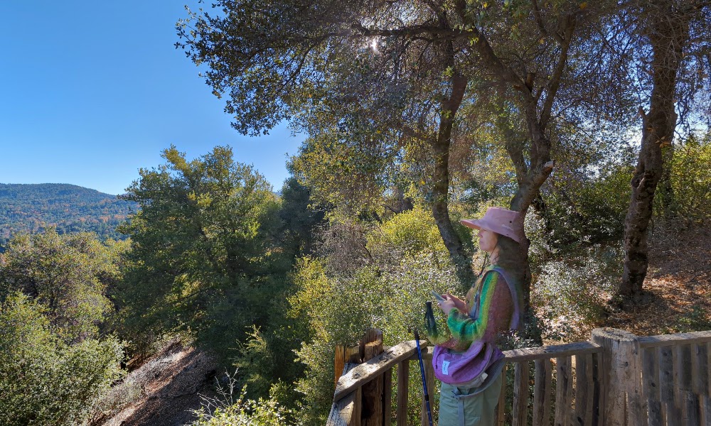Observatory Trail Overlook