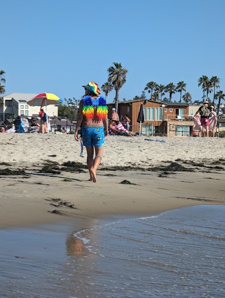 Ocean Beach Surf School | Surf Lessons