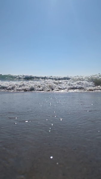 Ocean Beach Surf School | Surf Lessons