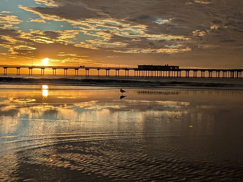 Ocean Beach