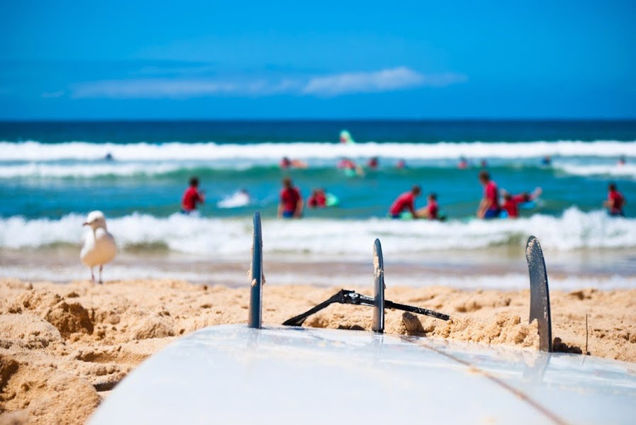 Ocean Experience San Diego Surf Camp