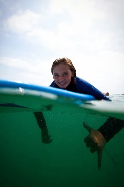 Ocean Experience San Diego Surf Camp