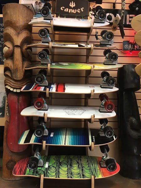 Ocean Experience Surf School