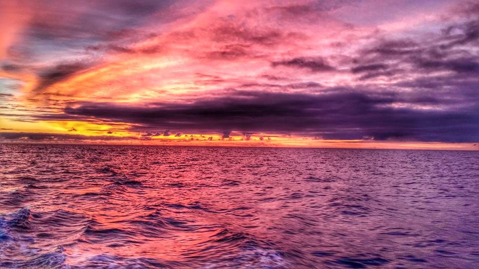 Ocean Odyssey