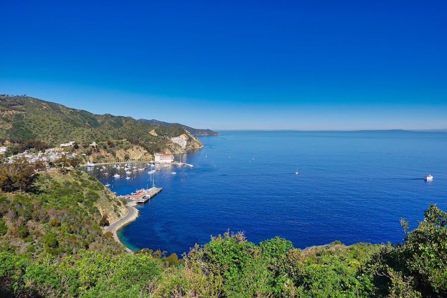 Ocean Scenic Overlook
