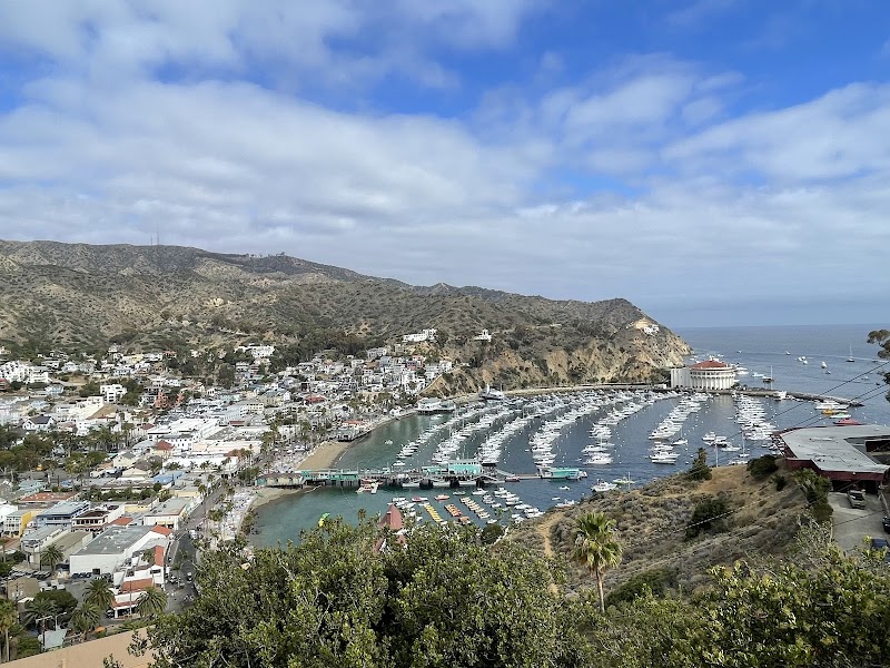 Ocean Scenic Overlook