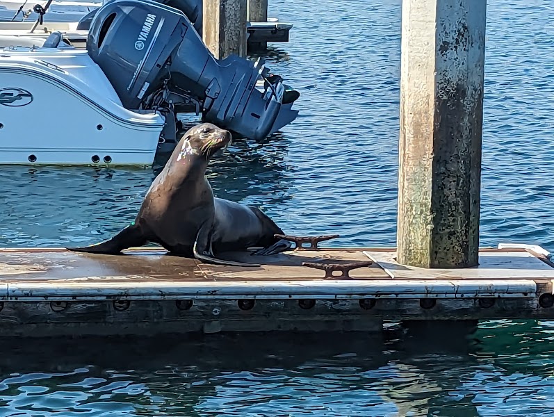 Oceanside Harbor Department