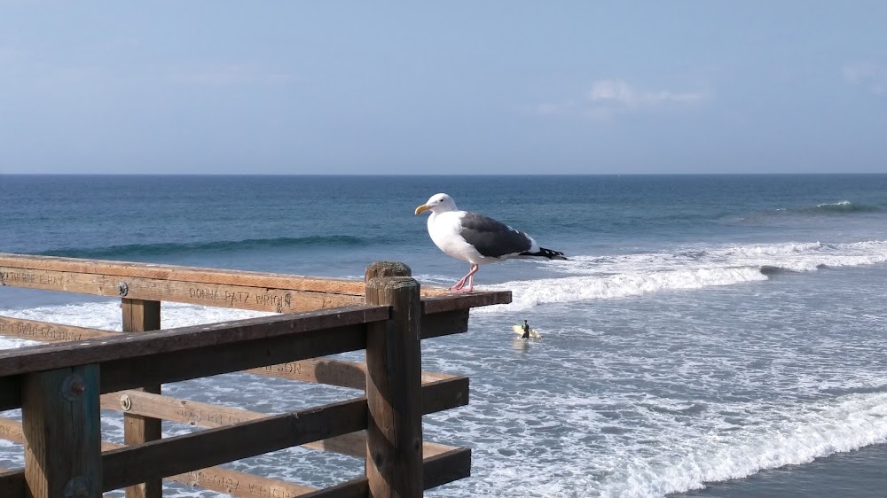 Oceanside Pier Amphitheater