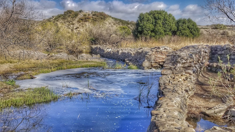 Old Mission Dam