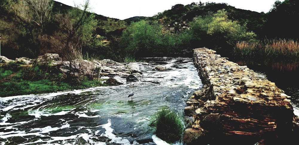 Old Mission Dam
