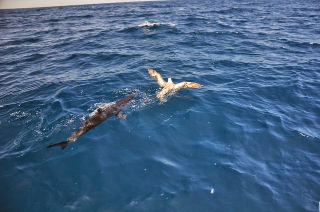 On The Fly Fishing Charters