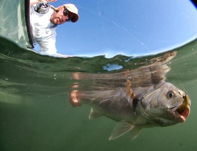 On The Fly Fishing Charters