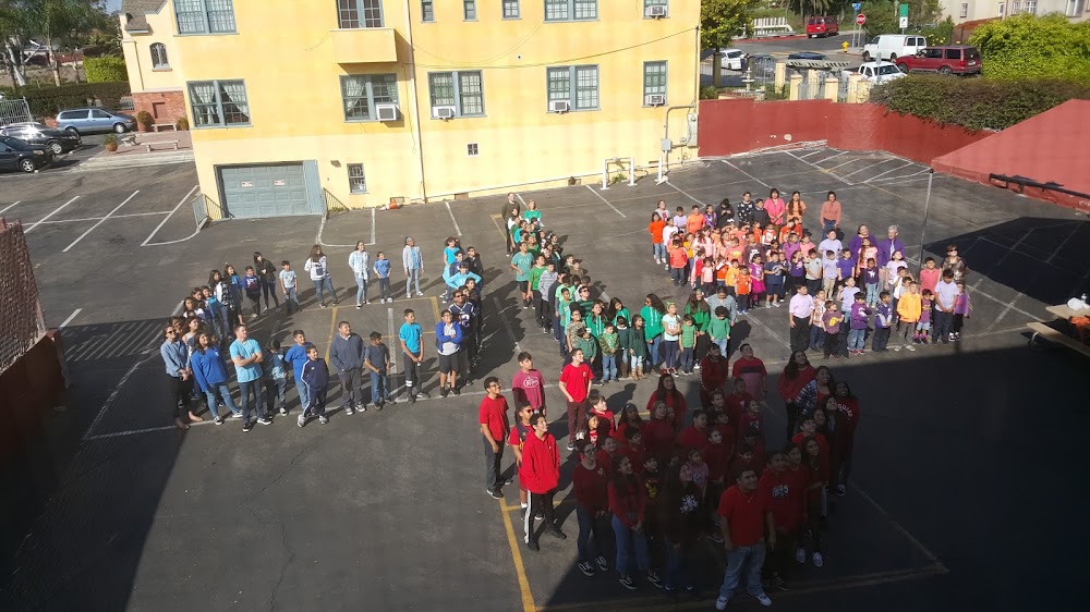 Our Lady's School