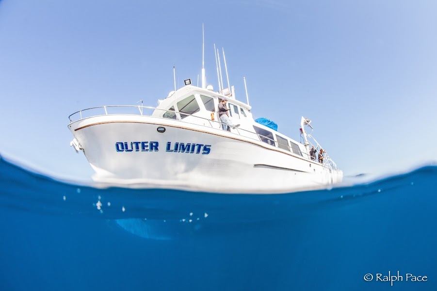 Outer Limits Charters Inc.