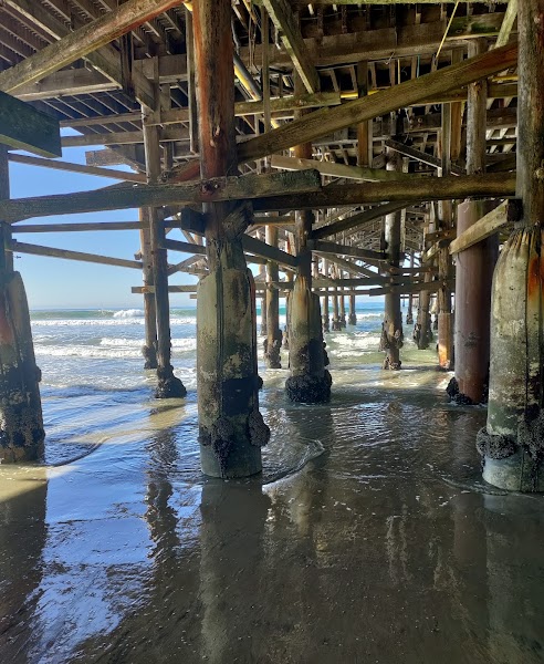 Pacific Beach