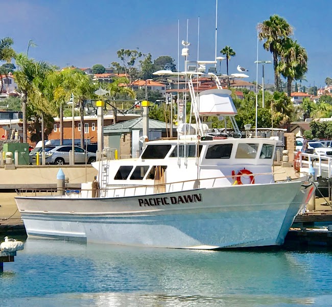 Pacific Dawn Sportfishing