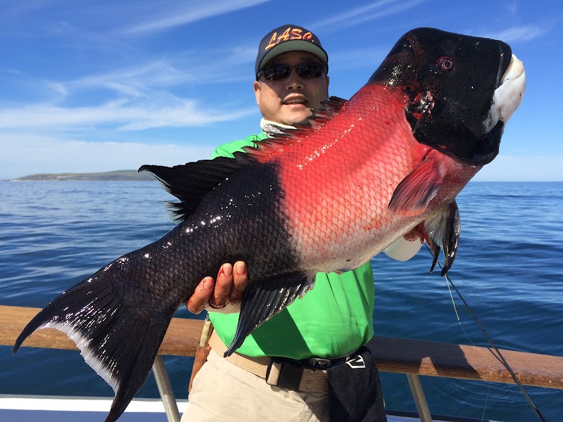 Pacific Dawn Sportfishing