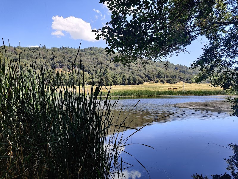 Palomar Mountain State Park
