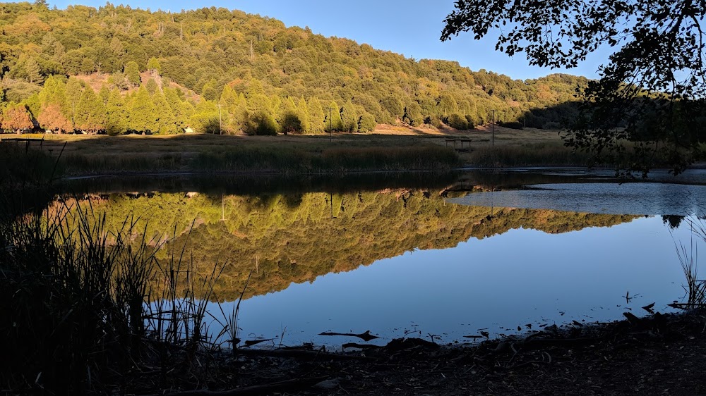 Palomar Mountain State Park