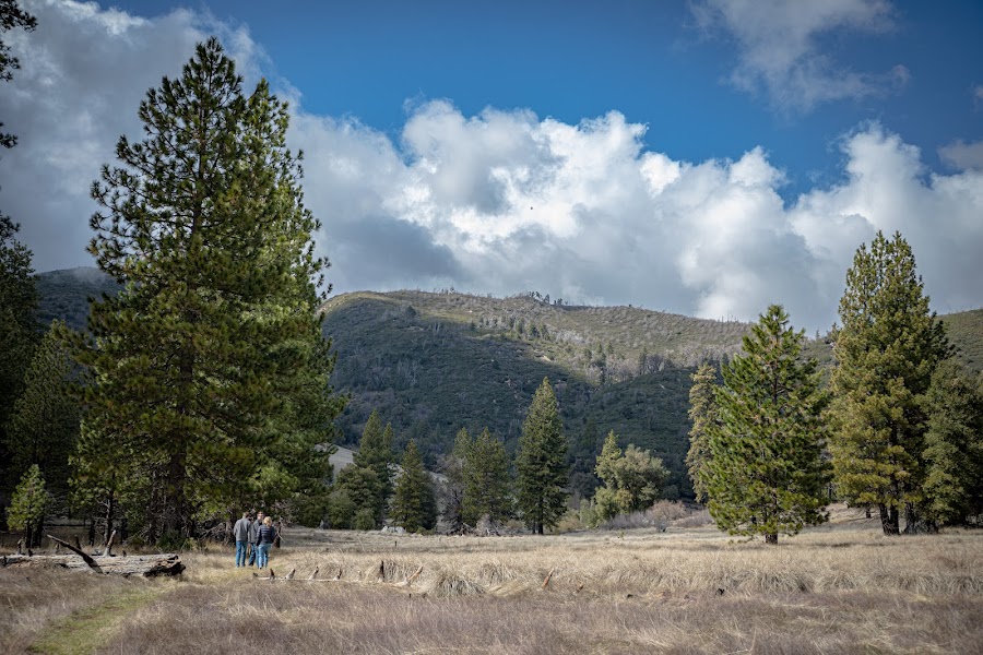 Palomar Mountain State Park