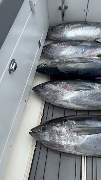 Party Boat Fishing