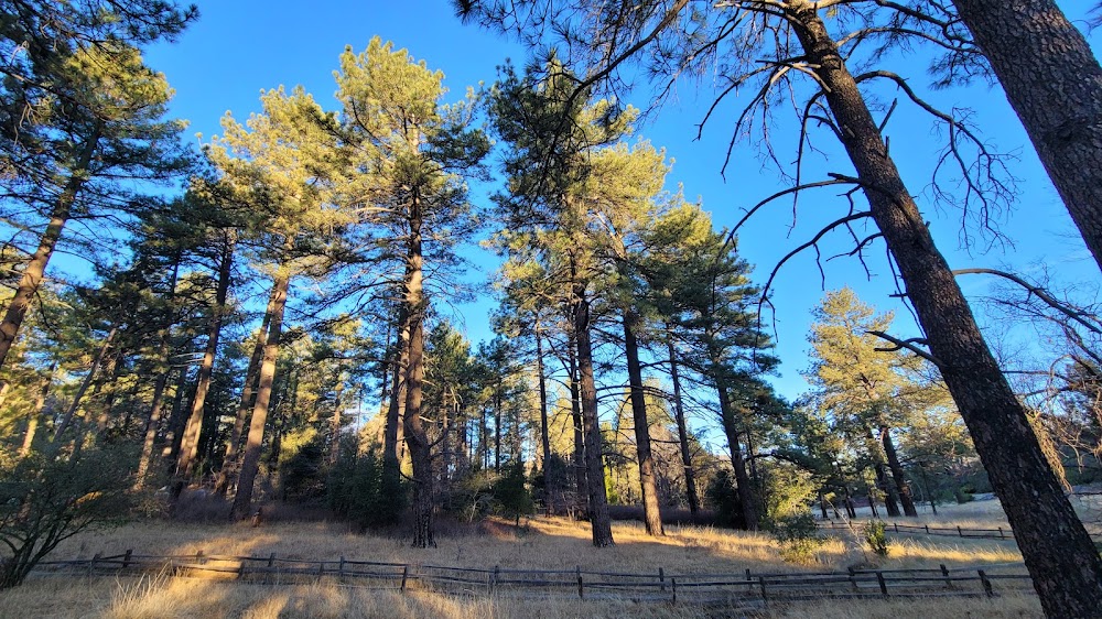 Paso Picacho Campground