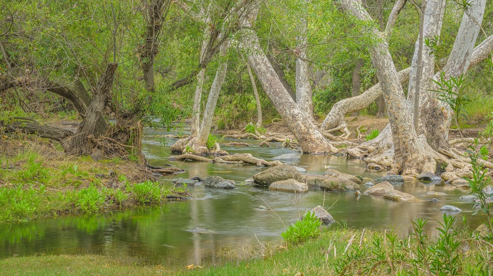Penasquitos Canyon Trail Head