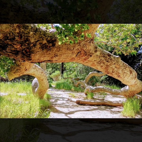 Penasquitos Canyon Trail Head