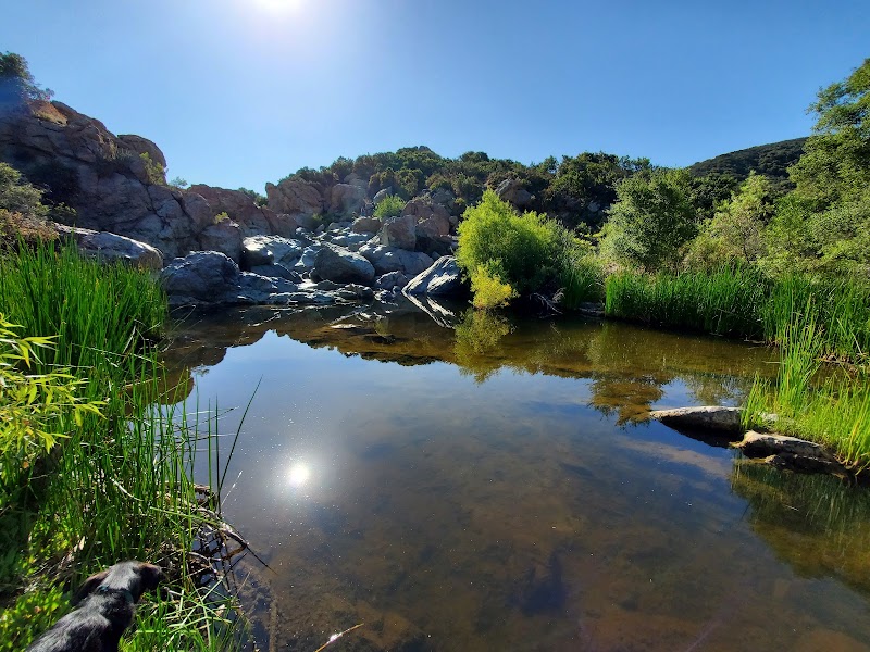 Penasquitos Creek Waterfall