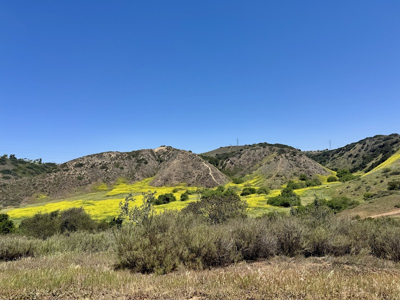 Penasquitos Creek Waterfall