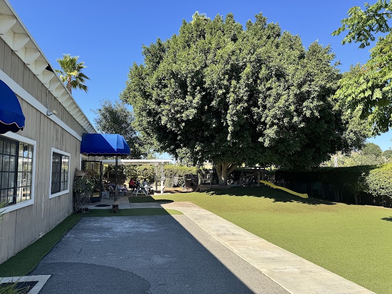 Pinktower montessori school