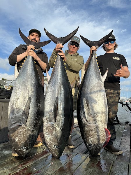 Pinnacle Sportfishing
