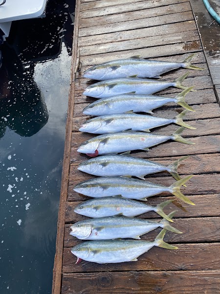 Pinnacle Sportfishing