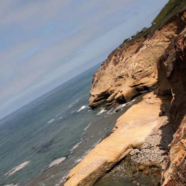 Point Loma Tide Pools
