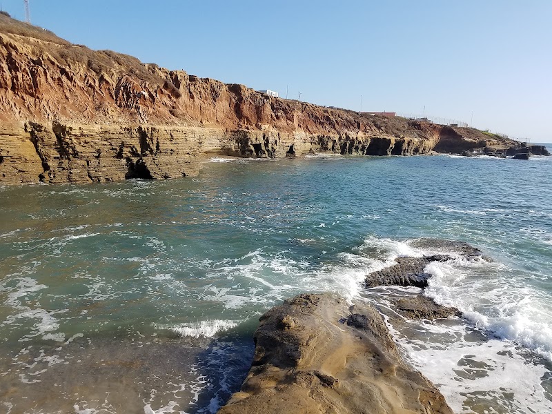 Point Loma Tide Pools