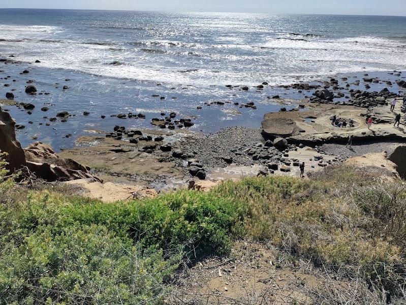Point Loma Tide Pools