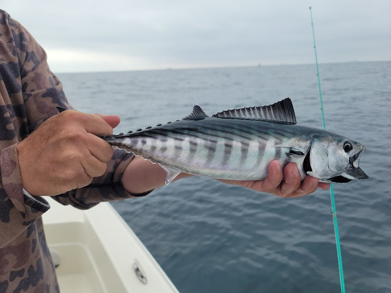 Risen Tide Sportfishing
