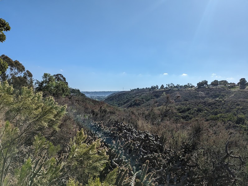 Roadrunner Park