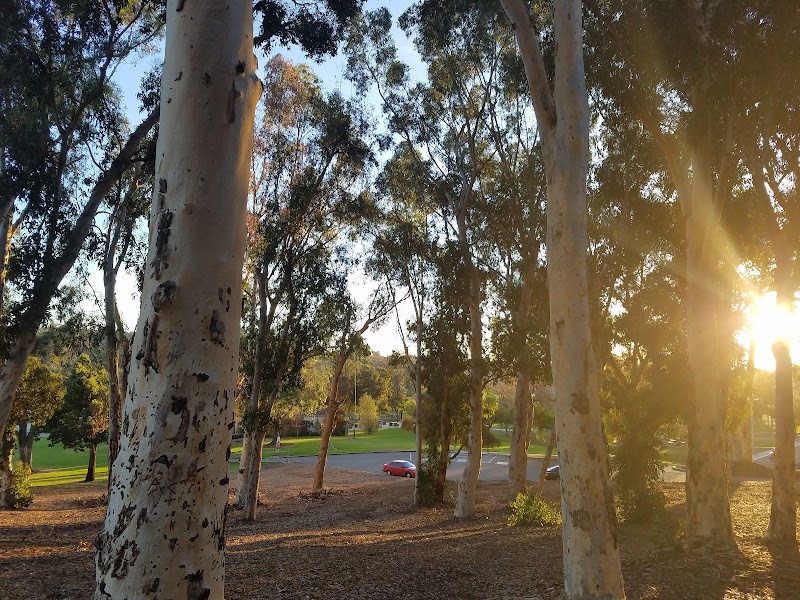 Rohr Park