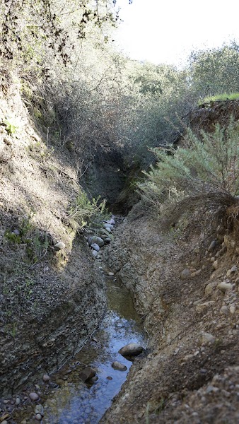 Rose Canyon Open Space Park
