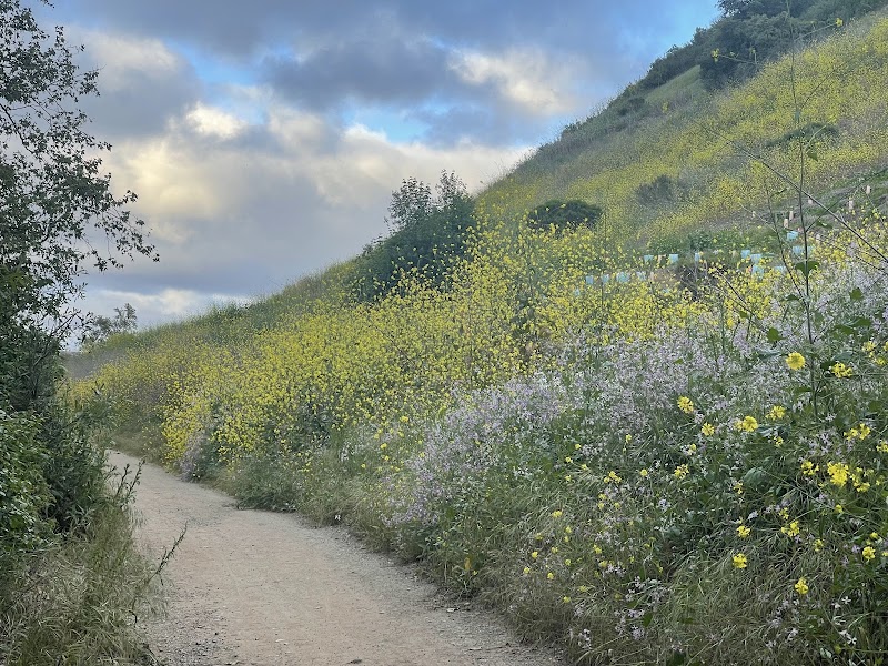 Rose Canyon Trail Head
