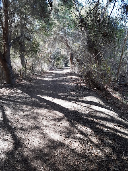 Rose Canyon Trail Head