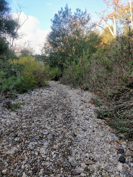 Rose Canyon Trail Head