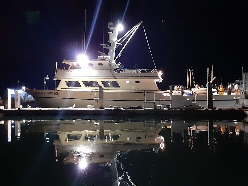 Royal Star Sport Fishing