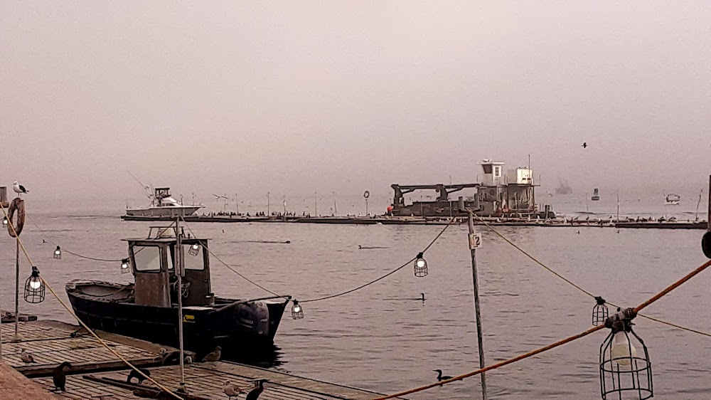 Royal Star Sport Fishing
