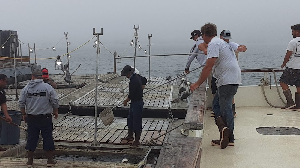 Royal Star Sport Fishing