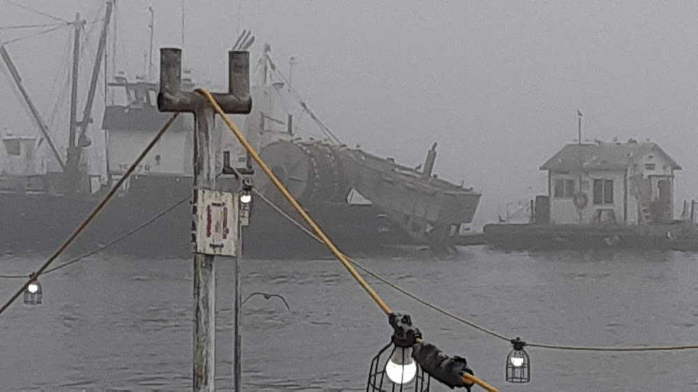 Royal Star Sport Fishing